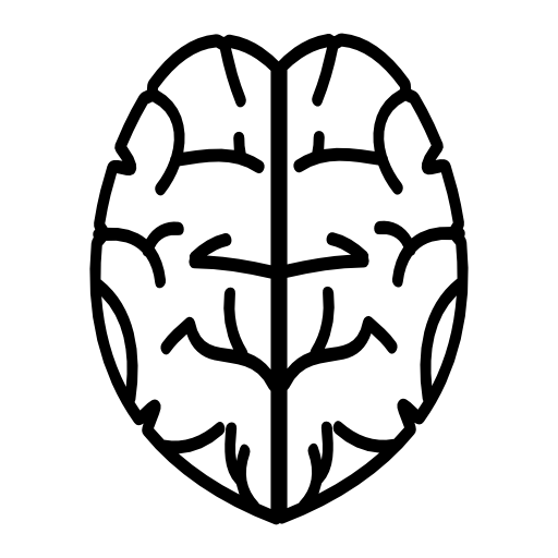 Brain