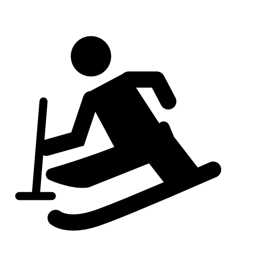 Paralympic skiing