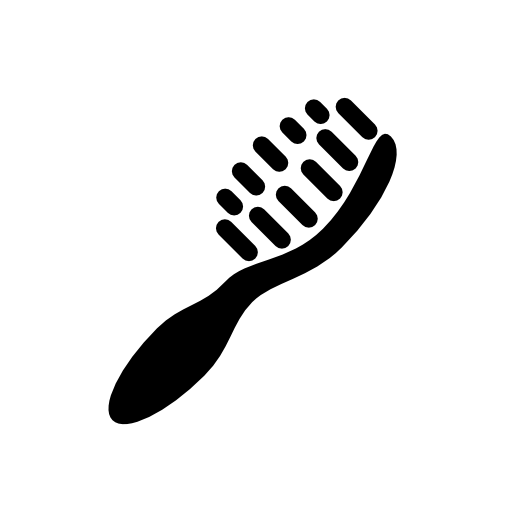 Shoe brush